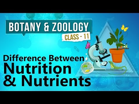 Difference Between Nutrition and Nutrients - Human Digestive System - Biology Class 11