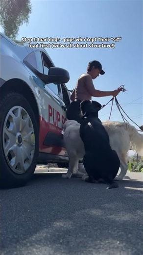 How We Load Up After a Pack Walk 🚐🐶