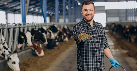 How to Apply as a Dairy Farmer in Ireland - The Pinoy OFW