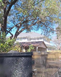 1.7K views · 13 reactions | D & M Tree Service. We are happy to help with all your tree care needs! Check out our Google page https://g.co/kgs/g54avR Follow us on Facebook! https://www.facebook.com/profile.php?id=100068297802060&mibextid=ZbWKwL Free estimates.Call Michael 972 979 6638. Locally owned and operated Insured for your protection Over 10 years of experience Amazing google reviews ⭐️⭐️⭐️⭐️⭐️ | Hunt County Theft Reports | Facebook