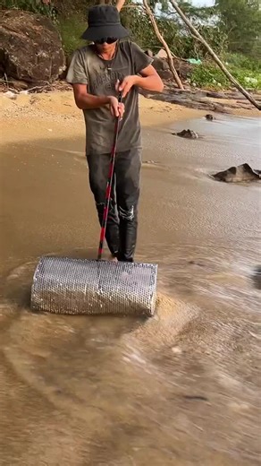 Discovering Beautiful Mini Seashells on the Beach