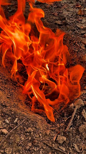 Meteorite alien seed lol #viral #contentcreator #meteorite #alien | Shot Crew