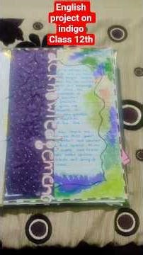 English project-Indigo(class 12th)