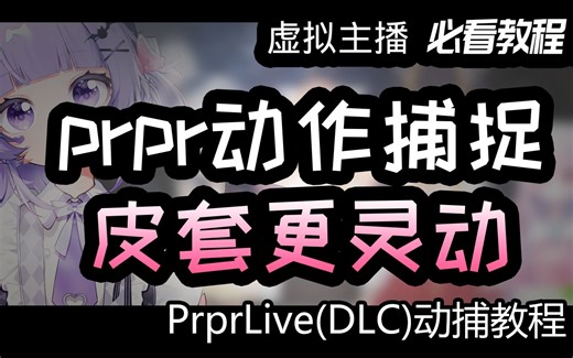 【prpr面捕教程】皮套用的好 DD少不了