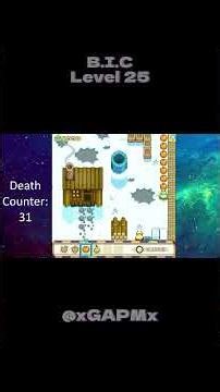 B.I.C Level 25