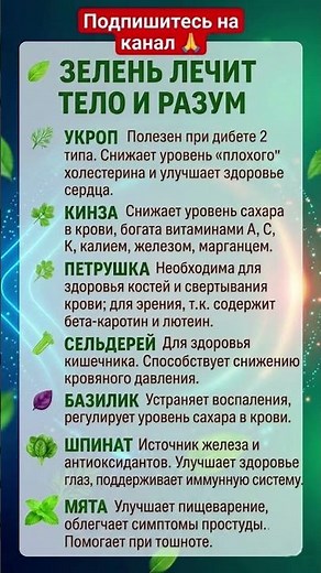 Зелень Для Здоровья: природная поддержка организма и хорошего настроения