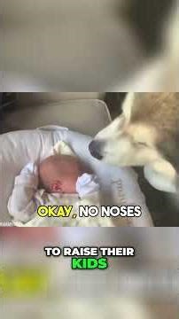 Dog & Baby's Unbreakable Bond: Heartwarming Moments! #shorts