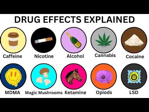 Every Drug & It's Effect Explained in 9 Minutes
