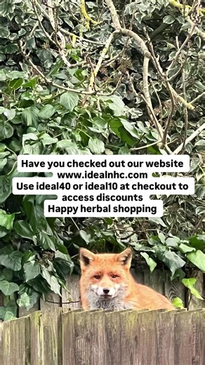 #linkinbio #idealnhc #naturepowered #holisticwellness #fyp