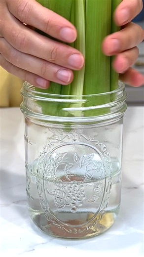 Weekly fresh fruit & vegetable meal prep 🌱💕✨ | Planted in the Kitchen