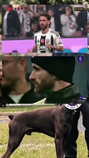 #ytdayibenionecikarnolur #beşiktaş #football