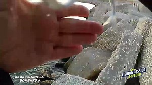 Tutorial pesca delle aguglie con la bombarda | Fishing Passion & Feeder