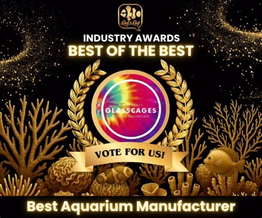 VOTE Glasscages on Reef2Reef.com Glasscages has been nominated for the Best of the Best Award in the category Best Aquarium Manufacturer! 🇺🇸🇺🇸🇺🇸🇺🇸🇺🇸🇺🇸 We are HONORED for this nomination. We are so THANKFUL for all the public support. We love what we do. 😎😎😎❤️❤️❤️ WE ASK FOR YOUR VOTE. CLICK THE LINK BELOW TO VOTE. 😎😎😎😎 Vote (https://www.reef2reef.com/threads/best-aquarium-manufacturer-who-makes-the-best-aquarium-overall.1135701/) 😎 😎 😎 #Joeglasscages #glasscagesllc #glassca