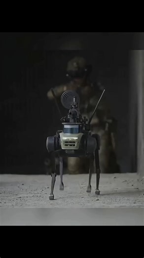 Chinese Robot Dog ? 😤 #shorts #robotdog #china