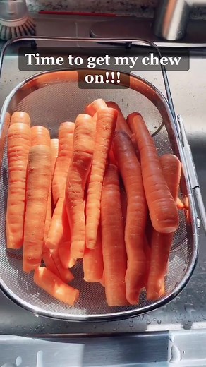 Chewing stimulates the bone to grow!!! Growing a face for O2 space💕#airwayhealth #mouthbreathing