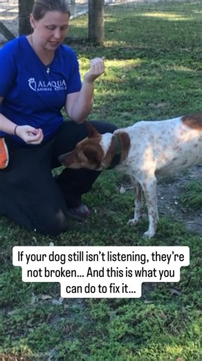 Your dog isn’t broken, but how you’ve been trying to communicate with them is I know it feels like you’ve tried everything. You’ve watched the YouTube videos, you’ve read the books. You’ve even hired a trainer. But your dog STILL isn’t listening the way you want them to. Here’s what most trainers won’t tell you: your dog isn’t the problem. The METHOD you’re using to train this is. Most training methods are either too complicated for dogs to understand, they’re focused on correcting behaviors wit