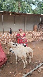 29K views · 2.4K reactions | Am on tears doing this prayer but if you are lucky to see this prayer today being afor count yourself as a blessed soul which the spirit guarding the whole universe will bless and guard you in everything you do 08033030872 & 07010177735 | Gloria Ezenwanyi Itego | Facebook