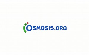 Osmosis 细胞信号途径/Cell signaling pathways