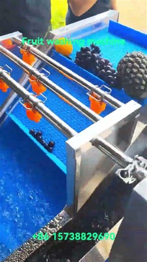 Fruit washing machine