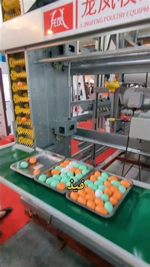 layer farming automatic system and it's cost | control shed farming business