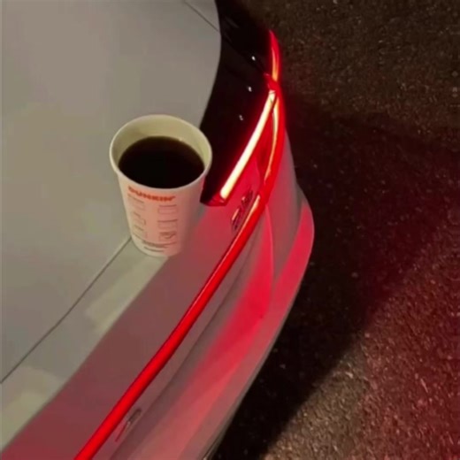 Exploring Vocals Only: A Unique Musical Experience