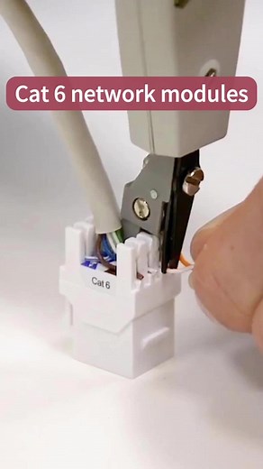 Take a look, cat 6 network module~ #electricalengineering #serverroom #cable #cat6 #cabletool #cablefactory #equiinet