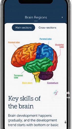 ZERO TO THREE on TikTok
