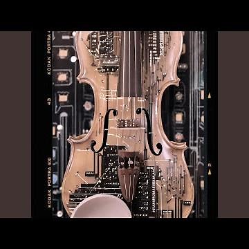 Boccherini: String Quintet in E Major, Op. 11 No. 5, G. 275: III. Minuetto