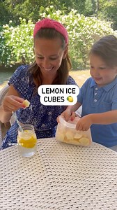 91K views · 88 reactions | LEMON ICE CUBES  Follow me @athomewith.shannon for more easy tips and tricks your whole family will love!! Leave chuncks of lemon freezing in your your freezer! use them as ice cubes with water or seltzer - one of my favorite little tricks!! #summer #summerhack #ıcecubes #icehacks #lemonice | At Home With Shannon | Facebook