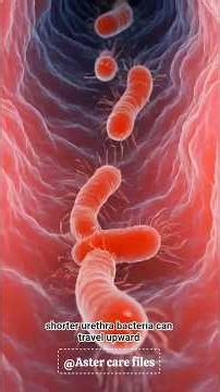 UTI Explained | Symptoms, Causes & Treatment (Women Must Know)#UTI #urinarytractinfection