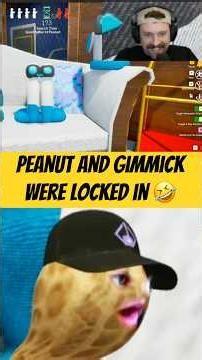 Peanut And Gimmick Best Hiding Place