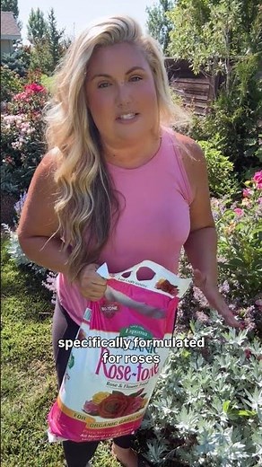 How to Fertilize Roses 🌹 || Skye Hamilton