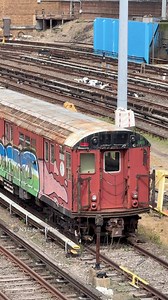 Red Bird Abandoned to Rot at The Concourse Yard#NYCSubway #NYC #LIRR #NewYork #NewYorkCity #RedBird | NYC Subway Life