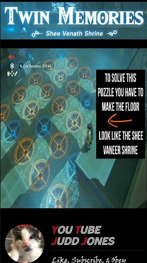 Shee Venath Shrine (Twin Memories) - Guide to Find ALL the Secrets in BOTW #botw #loz #zelda