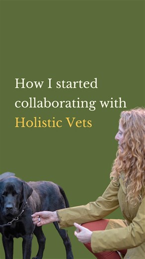 Lisa Tully | Holistic Animal Healing & Communication on Instagram: "How I went from basic skills in animal care 𝐭𝐨 𝐜𝐨𝐥𝐥𝐚𝐛𝐨𝐫𝐚𝐭𝐢𝐧𝐠 𝐰𝐢𝐭𝐡 𝐡𝐨𝐥𝐢𝐬𝐭𝐢𝐜 𝐯𝐞𝐭𝐬 ⁣⁠ ⁣⁠ Growing up I always wanted to be a vet.⁠ ⁣⁠ I learnt all I could about caring for animals & even worked in a vets practice for 2 years. ⁣⁠ ⁣⁠ Seeing the vets role from that perspective, 𝘮𝘺 𝘺𝘰𝘶𝘯𝘨𝘦𝘳 𝘴𝘦𝘭𝘧 𝘸𝘢𝘯𝘵𝘦𝘥 𝘪𝘵, so I could make a difference. But, I didn’t get accepted to study veterinary medi