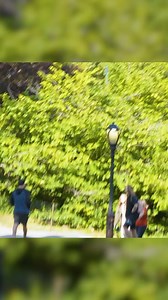 when you laugh so hard you lose the ability to walk priceless #funny #funnyvideos #lol #reel #prank | HumorBagel