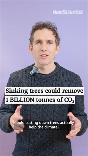 15K views · 402 reactions | Sinking trees in Arctic Ocean could...