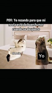 Noteit Widget on Reels