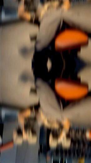 Decline Dumbbell Press