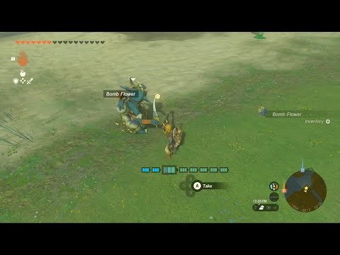 Bomb and Fire Fruit Farming | Zelda TotK