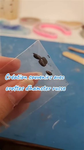 Création souvenirs avec crottes d'hamster russe