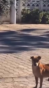 212K views · 1K reactions | Explore Earth on Reels | Facebook