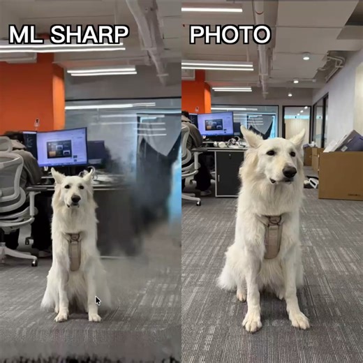 KIRI Engine - 3D scanner app on Instagram: "ML SHARP is an exciting example of how far single Image 3D inference has come🤯 At KIRI Engine, our focus has always been slightly different🌍🌕 We build tools for capturing the physical world as it is, not approximating it📷 When real world accuracy, editability, and geometric consistency matter, reliable scanning remains essential😝 Different approaches solve different problems⚙️"