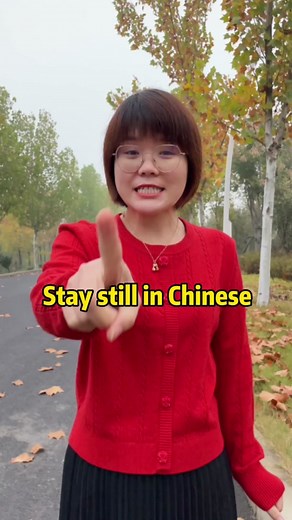 Learn Chinese Culture with a Chinese Teacher