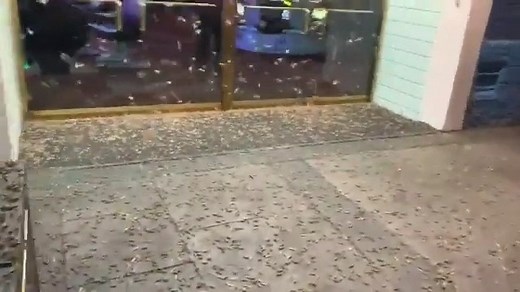 GRASSHOPPERS INVADE VEGAS: Some are calling it the “Great Grasshopper Invasion of 2019" 🦗🦗🦗 (Video Courtesy of 365 in Vegas / Twitter via 8 News Now) Story: https://www.kron4.com/news/wild-video-grasshoppers-invade-las-vegas-strip/ | KRON 4 News
