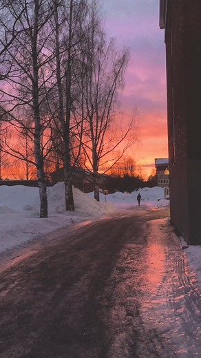 89 reactions · 20 shares | Want to study abroad? Join our online fair and learn more about studying in Sweden! #StudyInSweden #InternationalStudentLife | Study in Sweden | Facebook