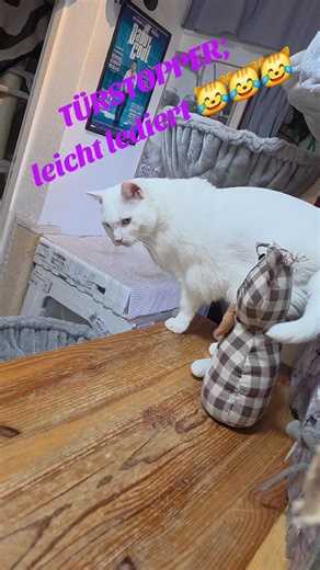 Pferdchen (@dan293474)’s video of romper stompers