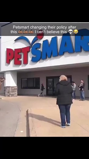 Camel Grooming at Petsmart: Surprising Visitor Gets Pampered