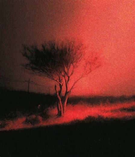 Joji’s new album Piss In The Wind has released and shows a clear return to honest and personal writing. The project focuses on relationships memory and searching for meaning through calm and emotional production. His goal with this album is to return to raw expression and speak openly about his thoughts and feelings. New standout songs like “Sojourn” “Hotel California” “Last of a Dying Breed” and “Past Won’t Leave My Bed” are getting strong attention. Features from Don Toliver and Yeat add varie