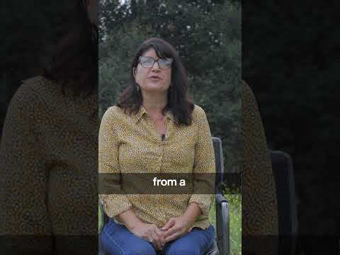 Health Concerns For Great Danes